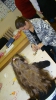 ds2010_54